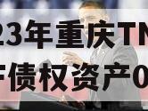 2023年重庆TNLYKF债权资产01号