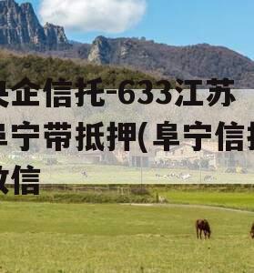 央企信托-633江苏阜宁带抵押(阜宁信托政信
)