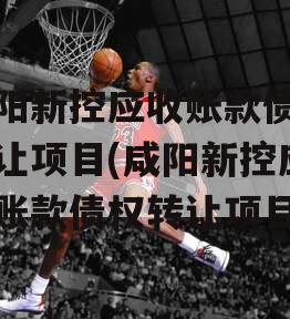 咸阳新控应收账款债权转让项目(咸阳新控应收账款债权转让项目)