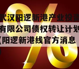 武汉阳逻新港产业投资有限公司债权转让计划(阳逻新港线官方消息)