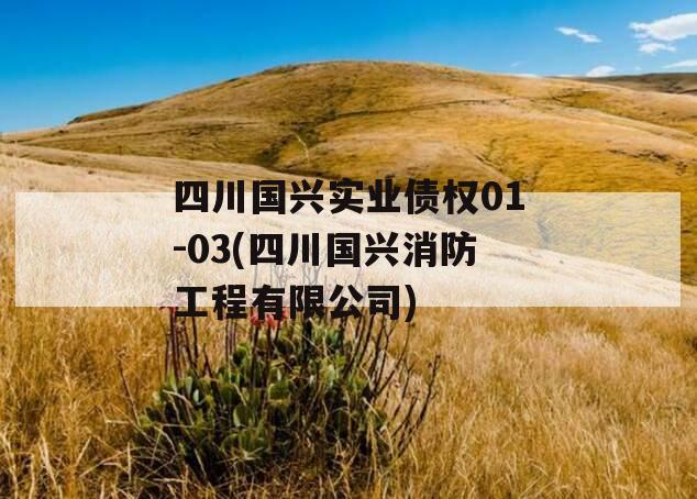 四川国兴实业债权01-03(四川国兴消防工程有限公司)