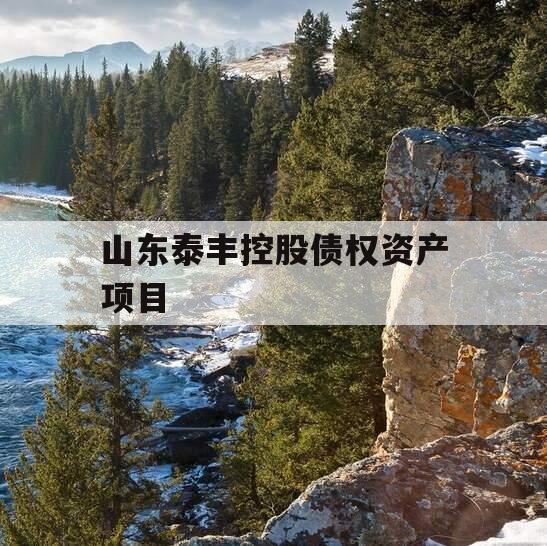 山东泰丰控股债权资产项目