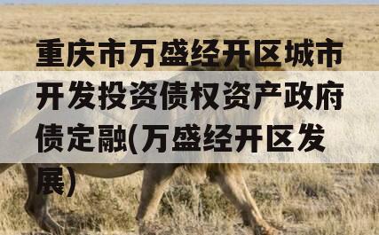 重庆市万盛经开区城市开发投资债权资产政府债定融(万盛经开区发展)