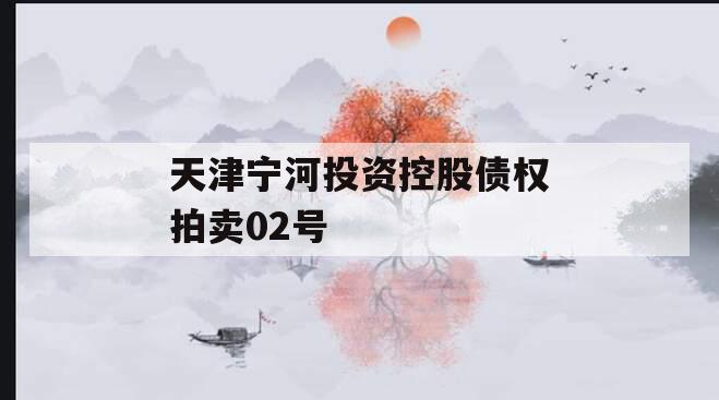 天津宁河投资控股债权拍卖02号