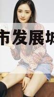 菏泽城市发展城投债项目
