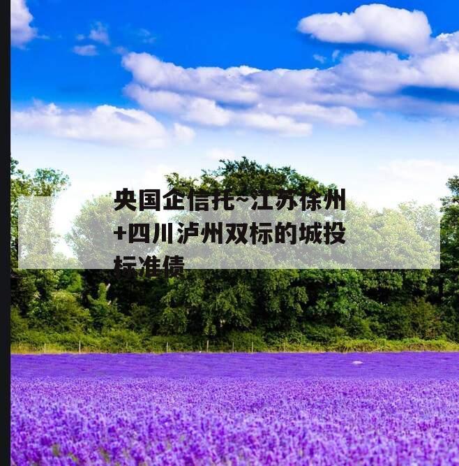 央国企信托～江苏徐州+四川泸州双标的城投标准债