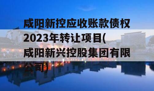 咸阳新控应收账款债权2023年转让项目(咸阳新兴控股集团有限公司)
