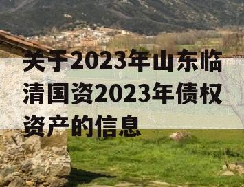 关于2023年山东临清国资2023年债权资产的信息