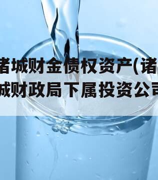 诸城财金债权资产(诸城财政局下属投资公司)