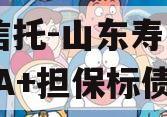 XX信托-山东寿光券内AA+担保标债