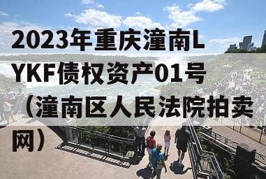 2023年重庆潼南LYKF债权资产01号（潼南区人民法院拍卖网）