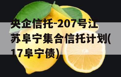 央企信托-207号江苏阜宁集合信托计划(17阜宁债)