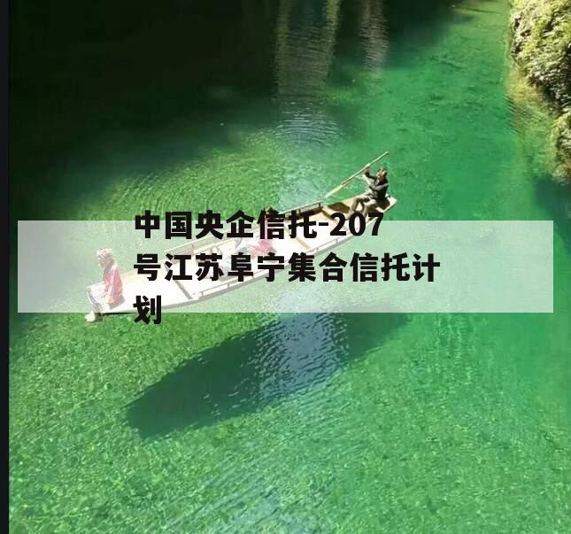 中国央企信托-207号江苏阜宁集合信托计划