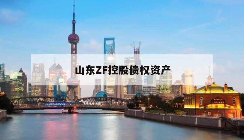 山东ZF控股债权资产