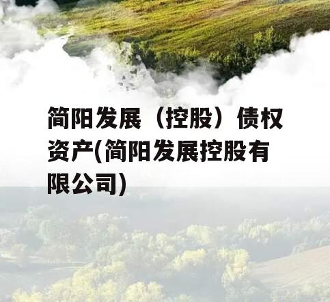 简阳发展（控股）债权资产(简阳发展控股有限公司)