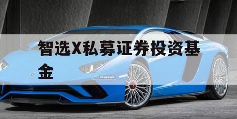 智选X私募证券投资基金