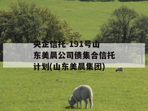 央企信托-191号山东美晨公司债集合信托计划(山东美晨集团)