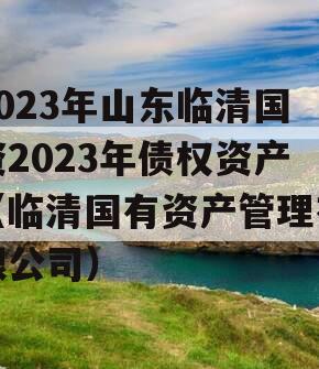 2023年山东临清国资2023年债权资产（临清国有资产管理有限公司）