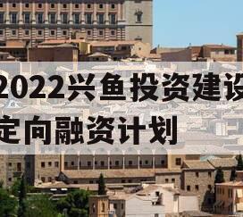 2022兴鱼投资建设定向融资计划