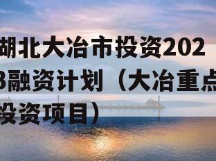 湖北大冶市投资2023融资计划（大冶重点投资项目）