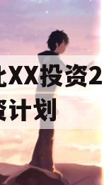 湖北XX投资2023融资计划