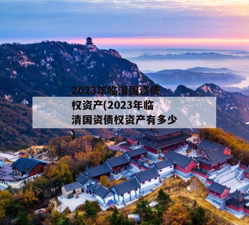 2023年临清国资债权资产(2023年临清国资债权资产有多少)