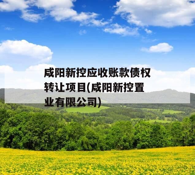 咸阳新控应收账款债权转让项目(咸阳新控置业有限公司)
