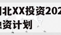 湖北XX投资2023融资计划