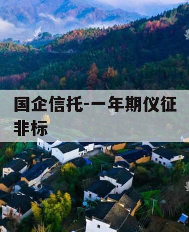 国企信托-一年期仪征非标