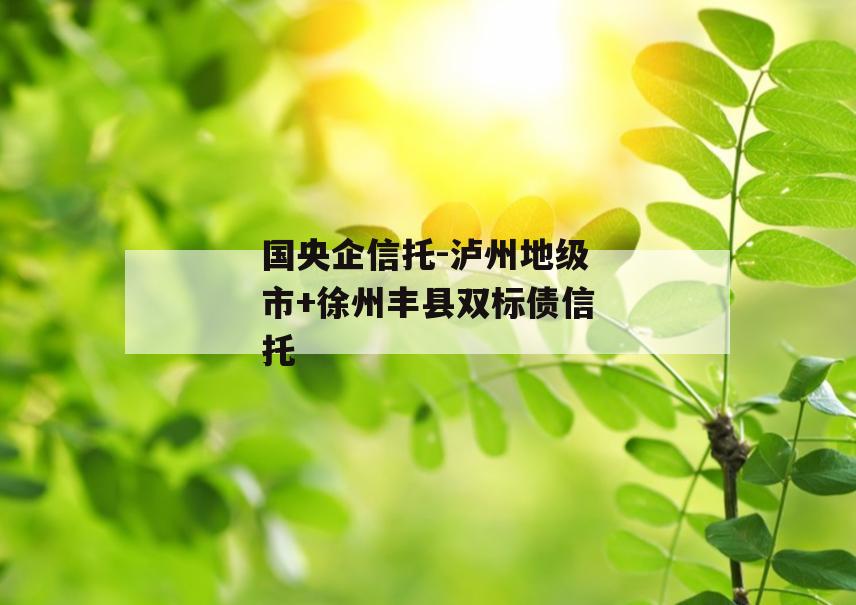 国央企信托-泸州地级市+徐州丰县双标债信托