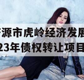 济源市虎岭经济发展2023年债权转让项目