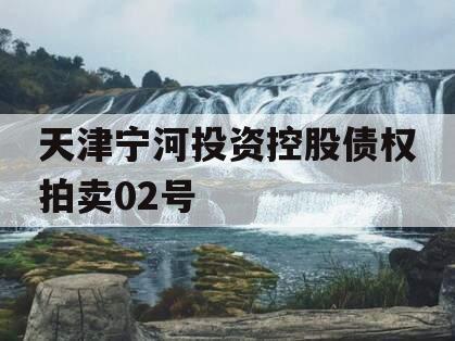 天津宁河投资控股债权拍卖02号