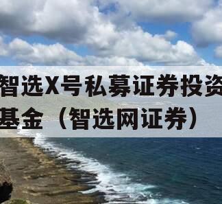 智选X号私募证券投资基金（智选网证券）
