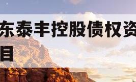 山东泰丰控股债权资产项目