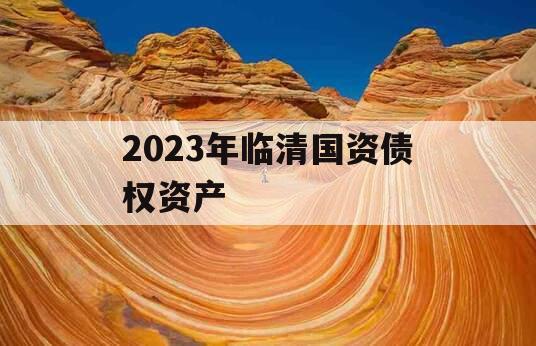 2023年临清国资债权资产