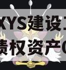 成都XYS建设工程2023债权资产001