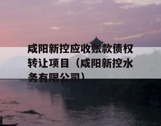 咸阳新控应收账款债权转让项目（咸阳新控水务有限公司）