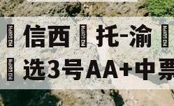 山‮信西‬托-渝‮优债‬选3号AA+中票