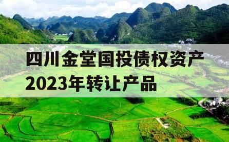 四川金堂国投债权资产2023年转让产品