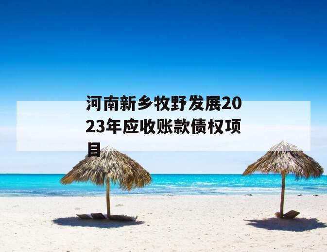 河南新乡牧野发展2023年应收账款债权项目