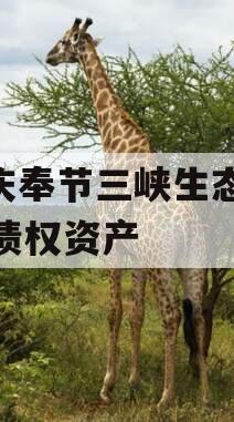 重庆奉节三峡生态2023债权资产