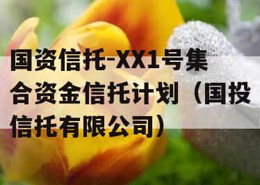 国资信托-XX1号集合资金信托计划（国投信托有限公司）