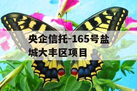 央企信托-165号盐城大丰区项目