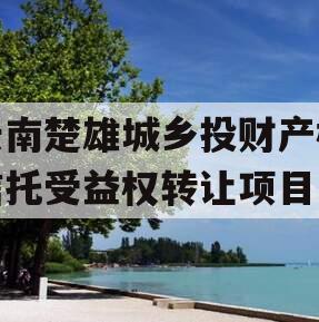 云南楚雄城乡投财产权信托受益权转让项目