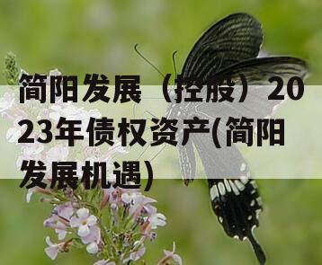 简阳发展（控股）2023年债权资产(简阳发展机遇)
