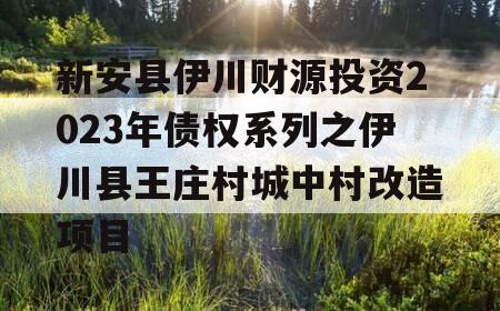 新安县伊川财源投资2023年债权系列之伊川县王庄村城中村改造项目