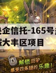 央企信托-165号盐城大丰区项目
