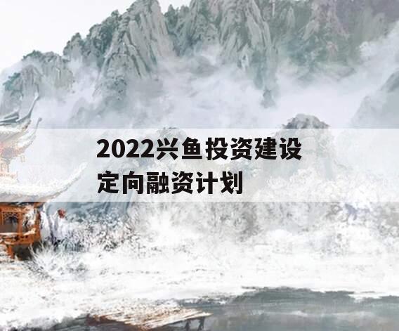 2022兴鱼投资建设定向融资计划