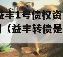 DZ益丰1号债权资产计划（益丰转债是什么）