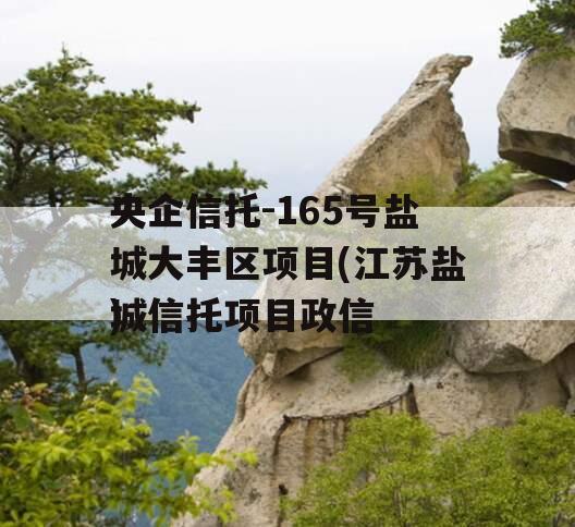 央企信托-165号盐城大丰区项目(江苏盐城信托项目政信
)